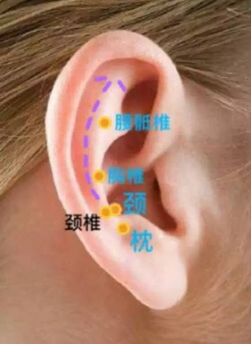 为什么耳穴按摩能够治疗颈椎病？如何按摩？