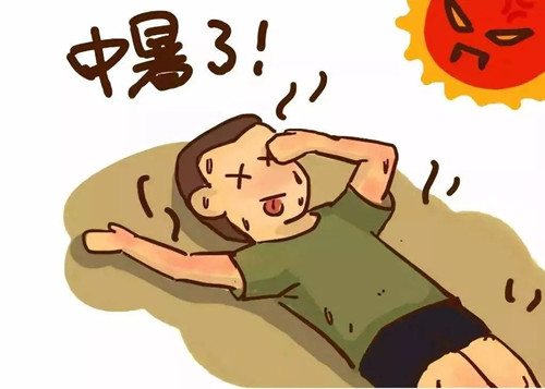 为什么点穴按摩能急救中暑昏迷的病人？