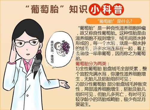 什么是葡萄胎？