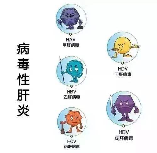 为什么将澳大利亚抗原作为肝炎诊断的指标