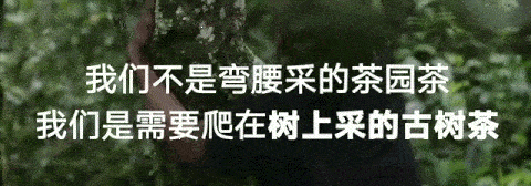 什么牌子的碎银子好最正宗最好喝呢