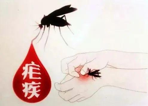 为什么乙胺密啶常用于预防疟疾?